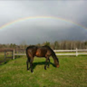 Meet your Posher, Shawna